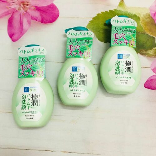 Sữa rửa mặt cho da nhờn Hada Labo Gokujyun Hatomugi Foaming Cleanser