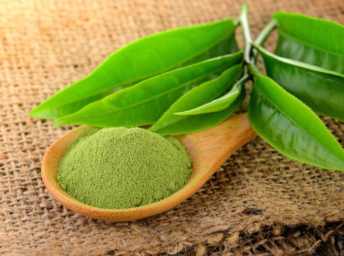 Top 10 kem chống nắng cho da dầu tốt nhất hiện nay 11 Nguyên liệu chiết xuất từ thiên nhiên
