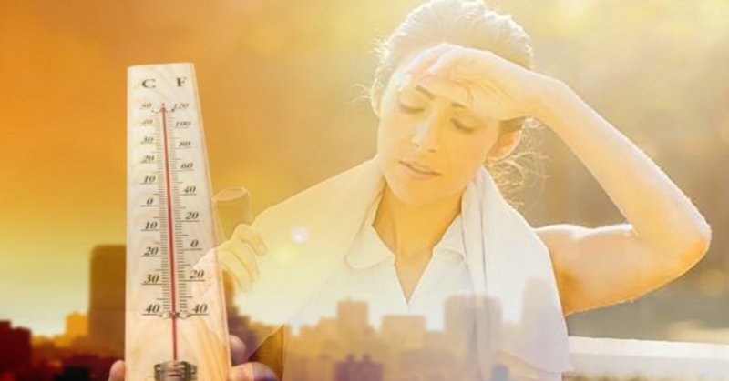 Cách phân biệt các loại da và hướng dẫn chăm sóc đúng cách 13 Da sẽ tiết ra nhiều dầu để cân bằng bảo vệ da trong thời tiết oi bức, nắng nóng
