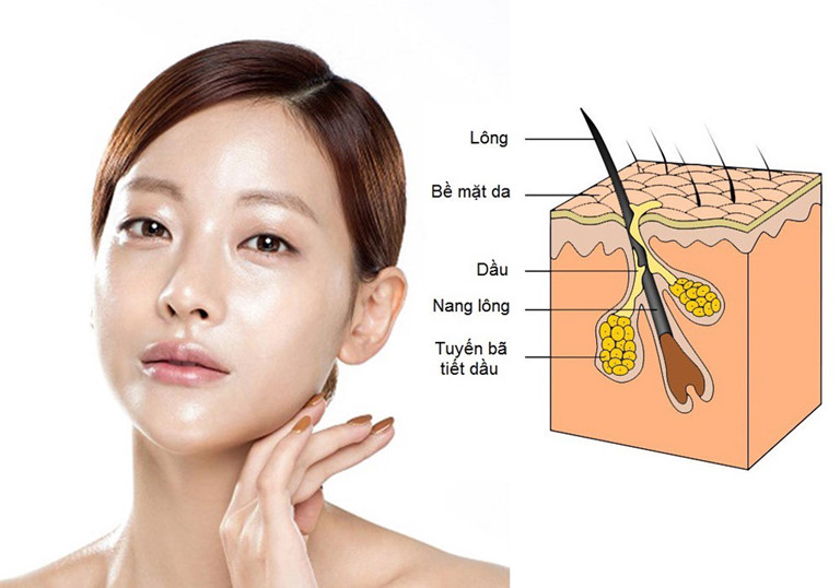 Da dầu là gì? Hướng dẫn chăm sóc da dầu hiệu quả nhất 1