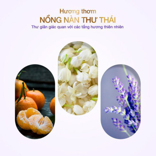 Review 7 sữa tắm Dove được ưa chuộng 2025