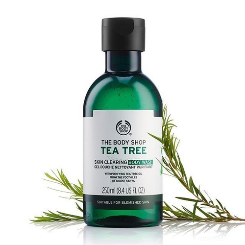 Review 8 sữa tắm The Body Shop được ưa chuộng nhiều 2025