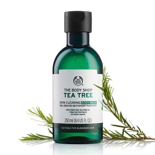 Review 8 sữa tắm The Body Shop được ưa chuộng nhiều 2024