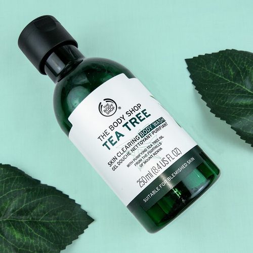 Review 8 sữa tắm The Body Shop được ưa chuộng nhiều 2025