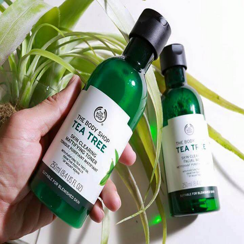 Review 8 sữa tắm The Body Shop được ưa chuộng nhiều 2024