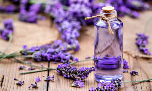 Bật mí: Tinh dầu hoa oải hương có thể làm dịu và chữa lành làn da của bạn