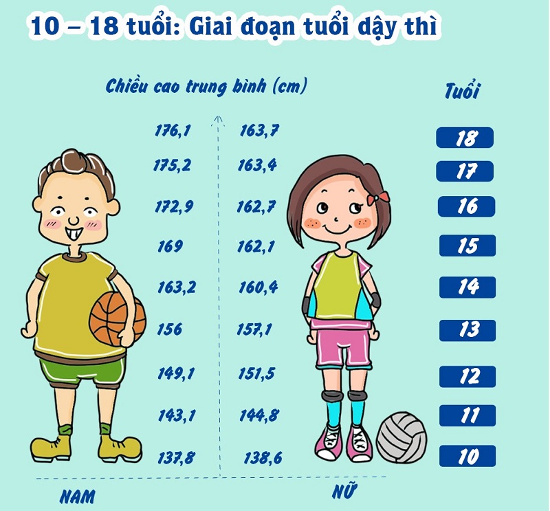 Cách giảm cân cấp tốc cho học sinh dễ thực hiện 2