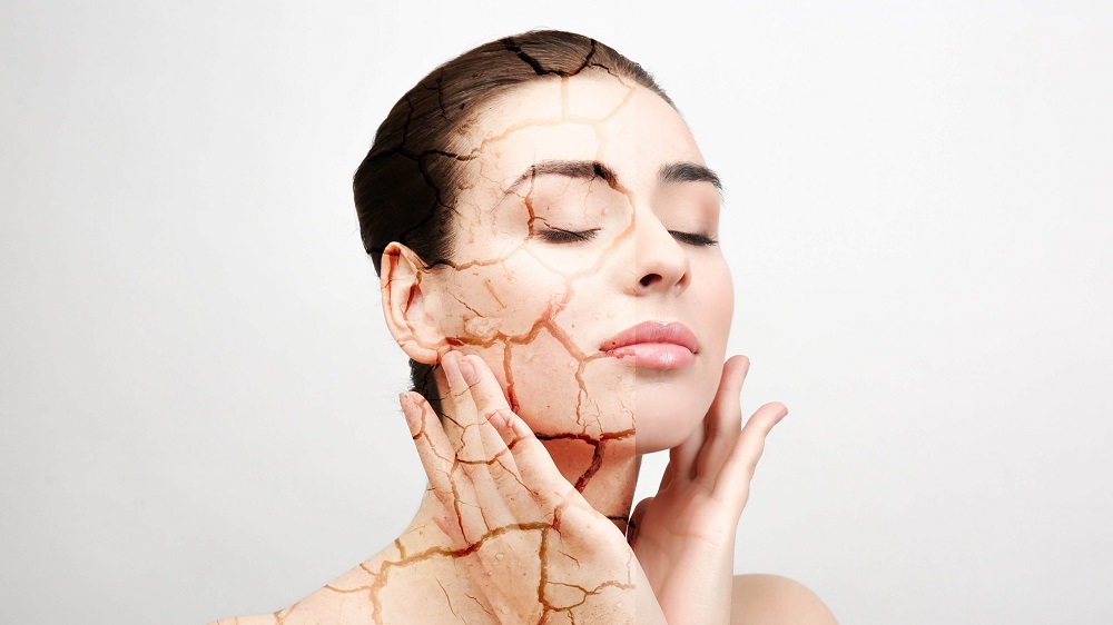 Dầu jojoba là một chất là một chất làm mềm, làm mịn da giúp duy trì độ ẩm cho da