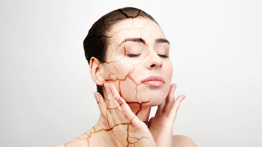 Dầu jojoba là một chất là một chất làm mềm, làm mịn da giúp duy trì độ ẩm cho da