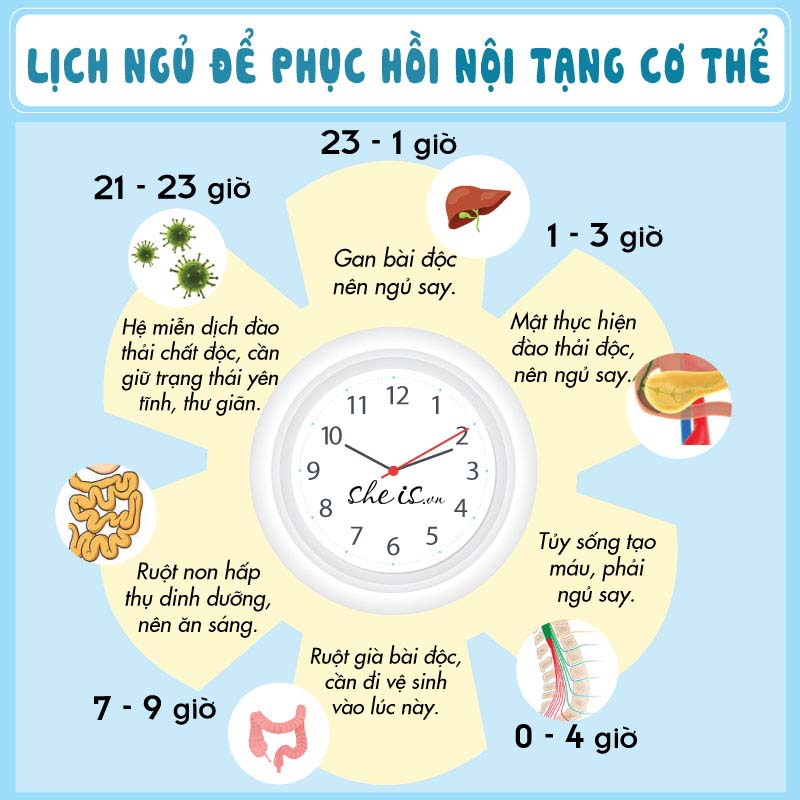 Thức khuya có mập không? Có nhanh tăng cân không? 5