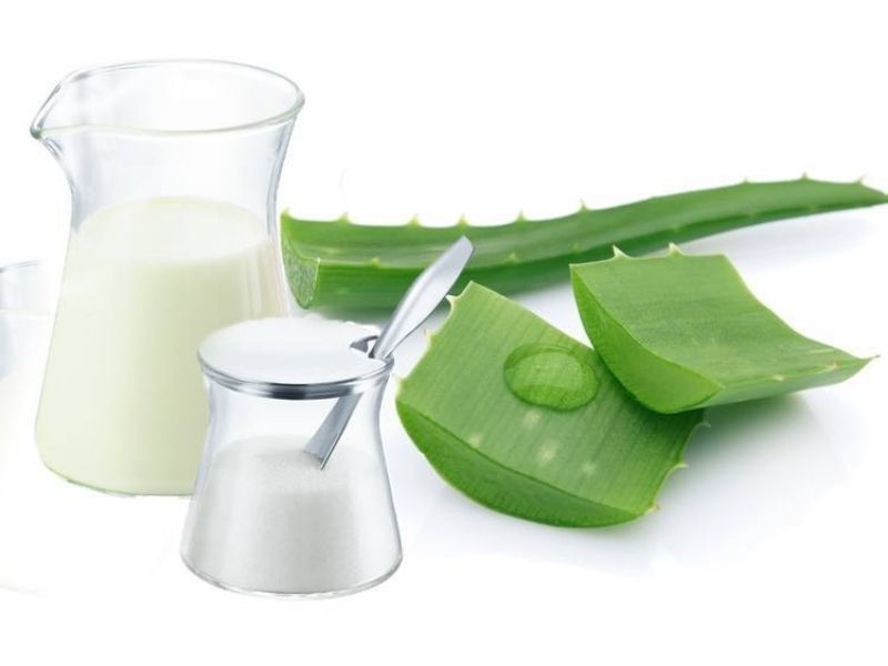 Sữa tươi kết hợp với nha đam giúp da trắng mịn màng