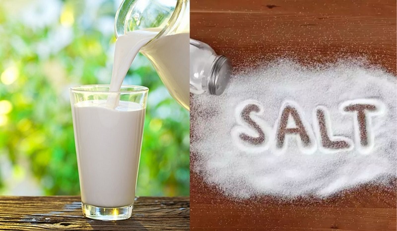 Sữa tươi không đường và muối giúp trị thâm mụn hiệu quả