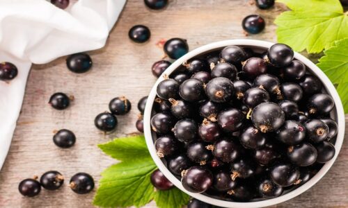 Acai berry là quả gì? Tại sao nói acai berry là "thần dược" của sức khỏe và làn da?