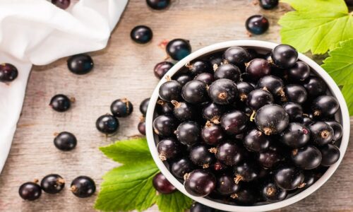 Acai berry là quả gì? Tại sao nói acai berry là “thần dược” của sức khỏe và làn da?