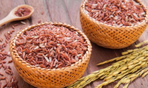 Ăn gạo lứt có giảm cân không? 6 lợi ích giảm cân từ gạo lứt bạn nên biết
