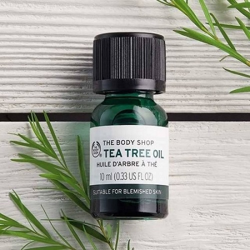 Serum trị mụn cho da dầu THE BODY SHOP Tea Tree Oil