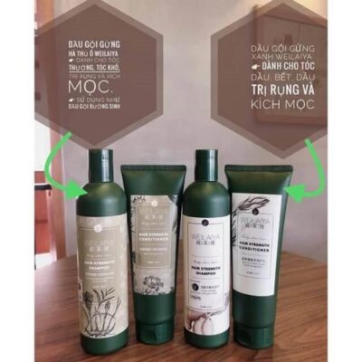 Bộ dầu gội xả gừng Weilaiya có kích thích mọc tóc? (Review 2025)