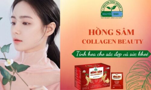 Review hồng sâm Collagen Beauty có hiệu quả như quảng cáo?