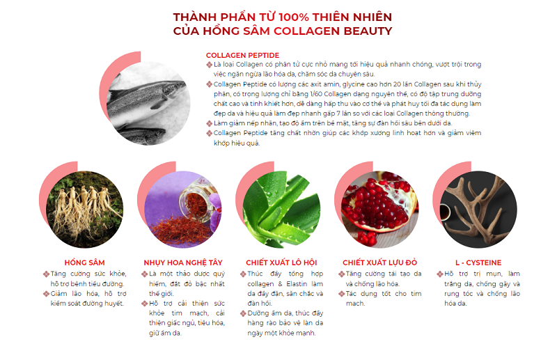 Thành phần hồng sâm Collagen Beauty