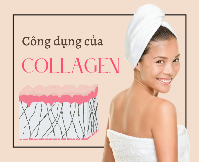 Collagen rất tốt cho làn da và sức khỏe